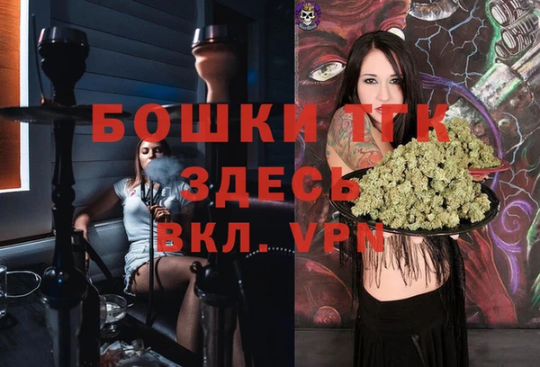 прущие грибы Бугульма