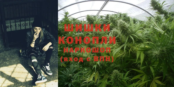 тгк Бронницы