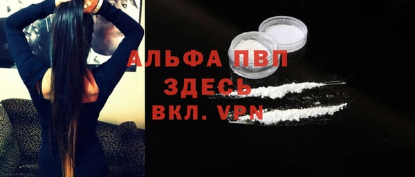 прущие грибы Бугульма