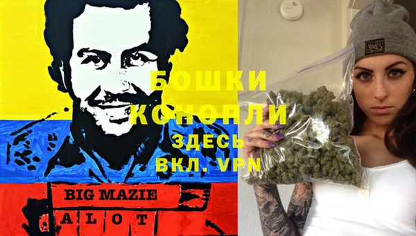 гидропоника Бородино