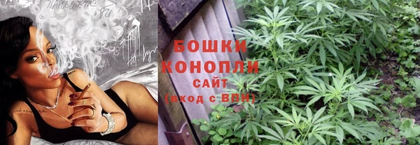 гидропоника Бородино