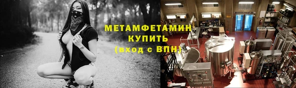 прущие грибы Бугульма