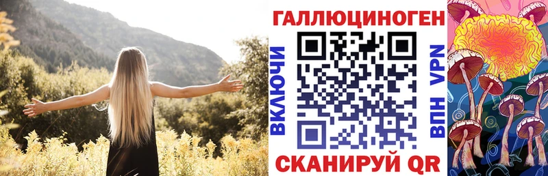 хочу наркоту Новохопёрск Псилоцибиновые грибы Cubensis